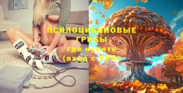 дурь Верея
