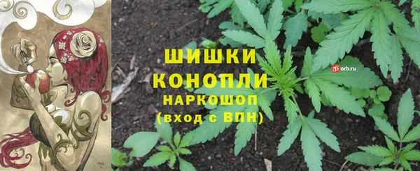 дурь Верея