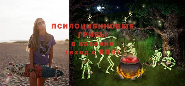 дурь Верея