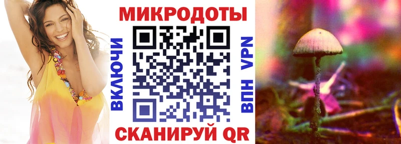 наркошоп  Вологда  Галлюциногенные грибы GOLDEN TEACHER 